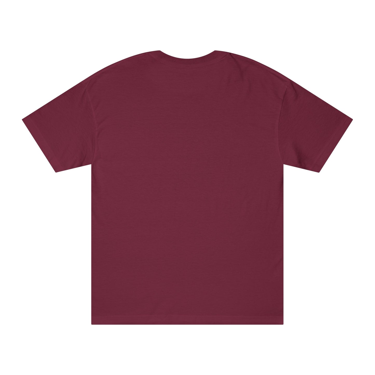 Bold Statement Tee - Unisex Classic, Inspirational Shirt, Casual Wear, Gift for Friends, Empowering Fashion