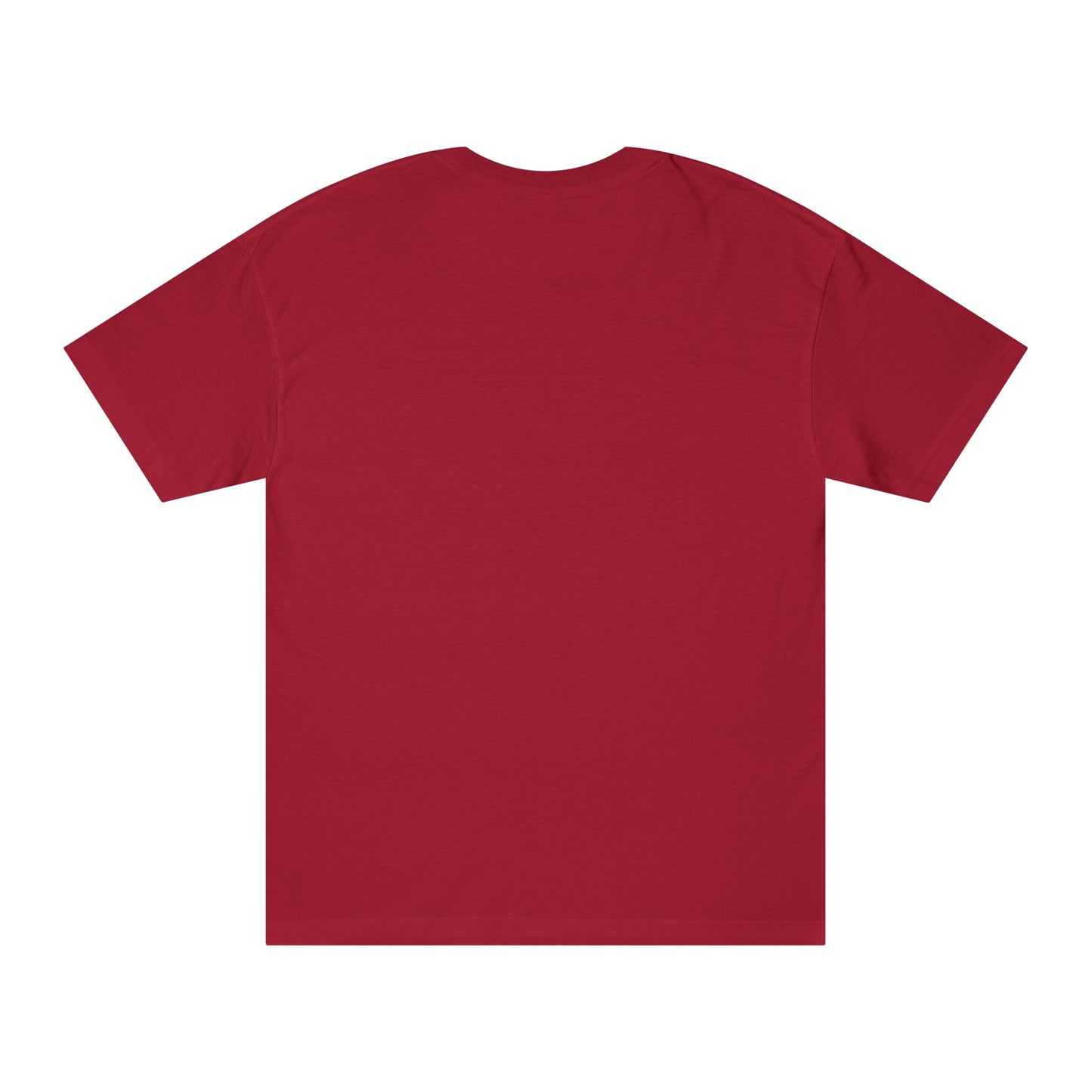Bold Statement Tee - Unisex Classic, Inspirational Shirt, Casual Wear, Gift for Friends, Empowering Fashion
