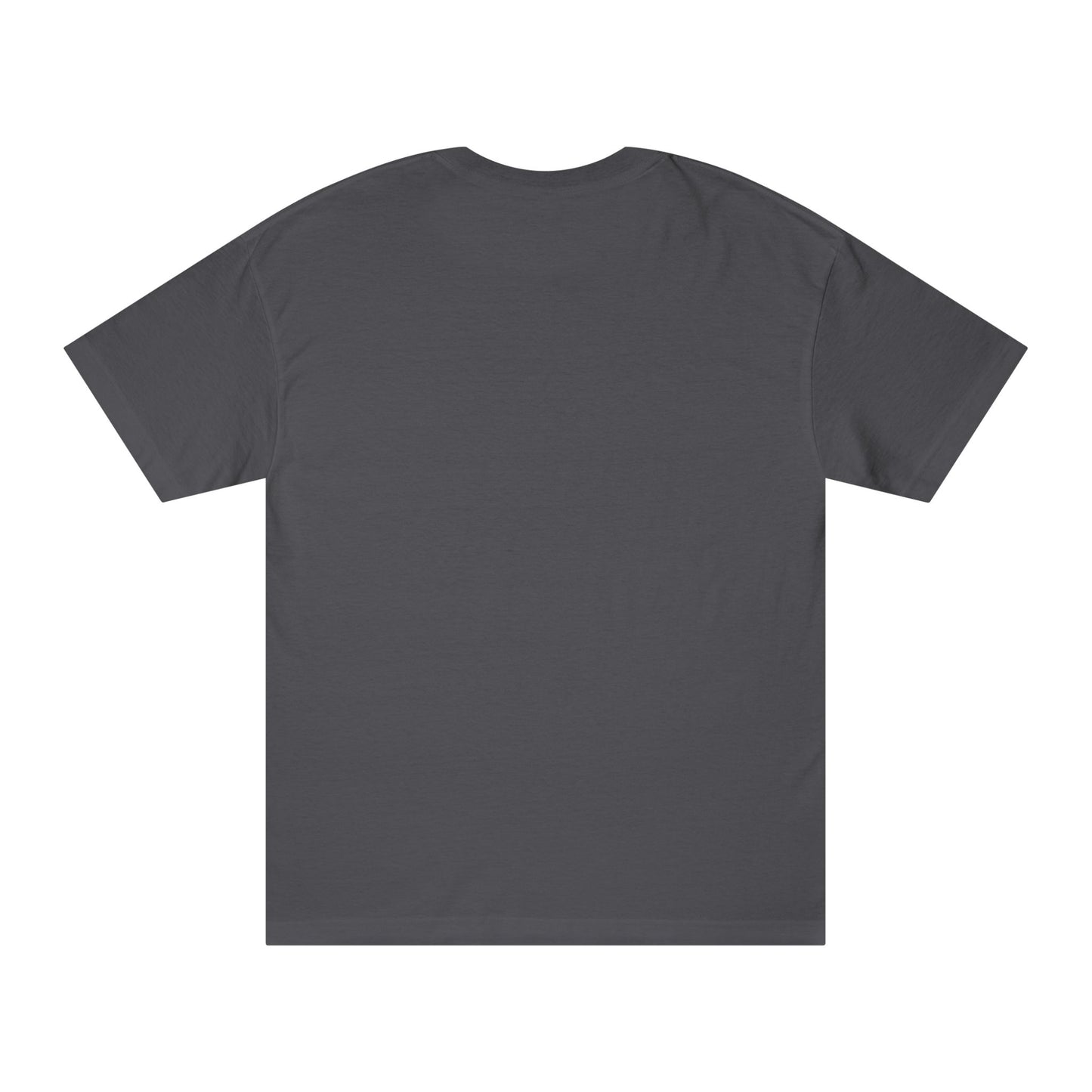 Bold Statement Tee - Unisex Classic, Inspirational Shirt, Casual Wear, Gift for Friends, Empowering Fashion