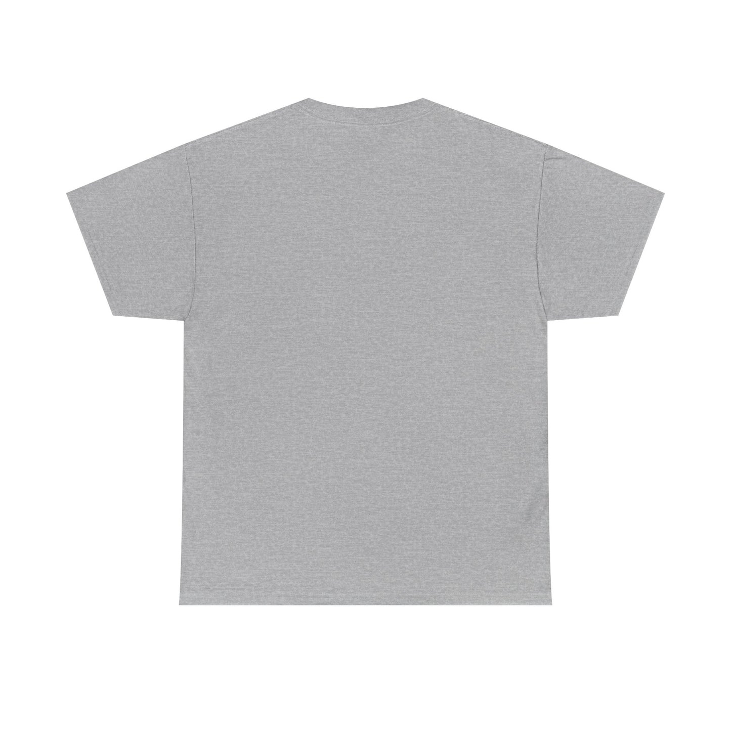 Faith Over Fear shirt | Lion and cross hand-lettered design